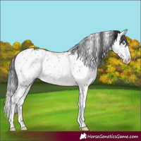 Horse Color:White Spotted Brown Dun Sabino Brindle 