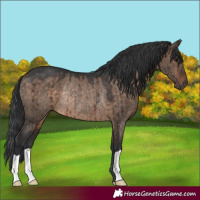 Horse Color:Brown Dun Rabicano Brindle