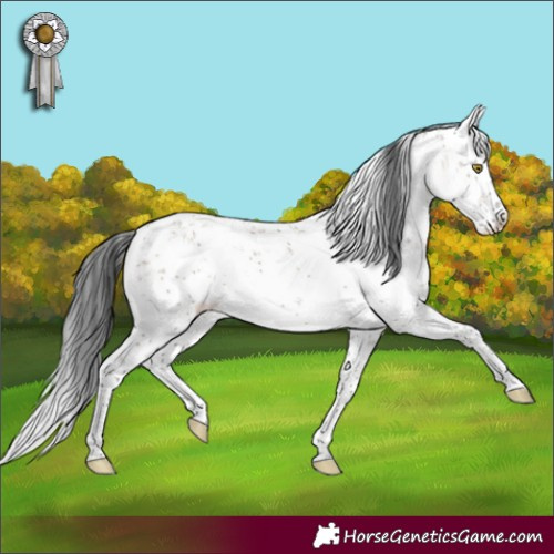 Horse Color:White Spotted Brown Dun Sabino
