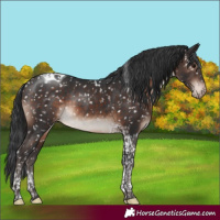 Horse Color:Brown Mushroom Tobiano Appaloosa Rabicano 