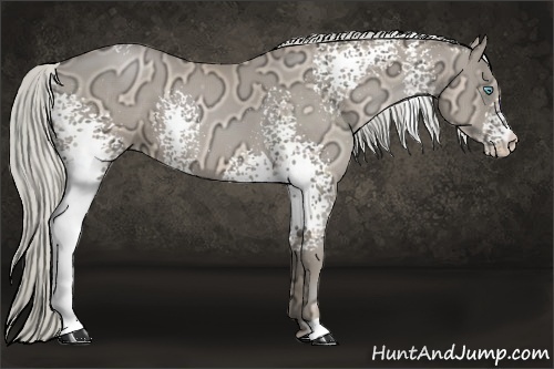 Horse Color:White Spotted Chocolate Palomino Ice Pearl 