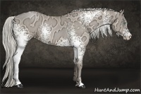 Horse Color:White Spotted Chocolate Palomino Ice Pearl
