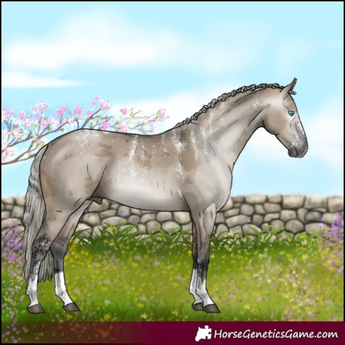 Horse Color:Powder White Gray Silver Brown Dun Merle Tobiano Rabicano 
