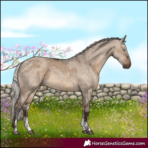 Horse Color:Powder White Silver Bay Dun Merle Rabicano 