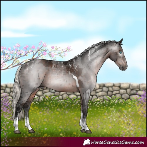 Horse Color:Powder White Gray Silver Brown Merle Tobiano 