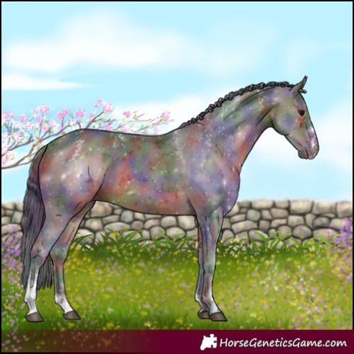 Horse Color:Powder White Nacre Brown Merle 