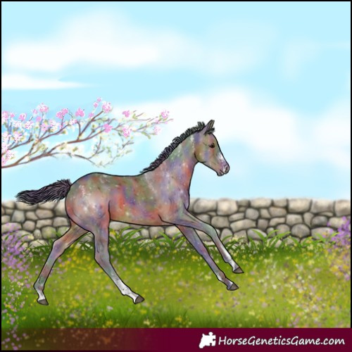 Horse Color:Powder White Nacre Brown Merle