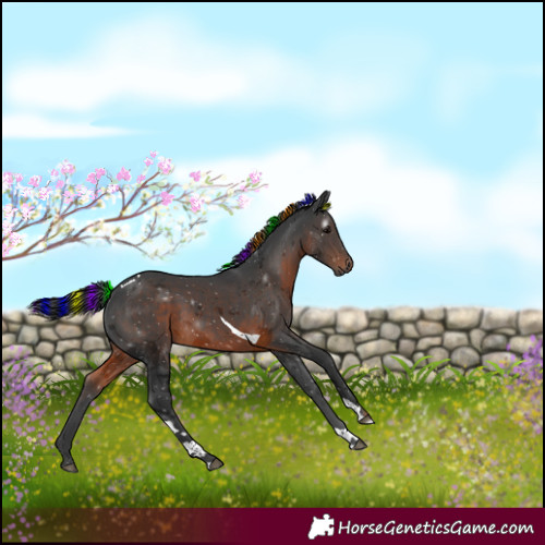 Horse Color:Gray Painted Brown Merle Tobiano 