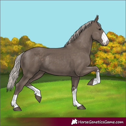 Horse Color:Silver Black 