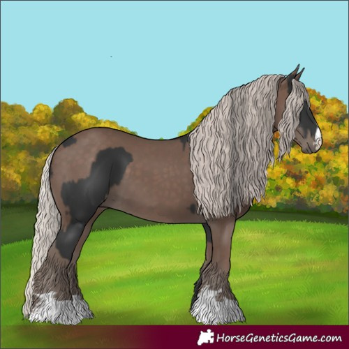 Horse Color:Black and Silver Black