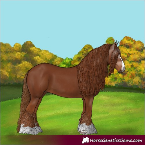 Horse Color:Gray Chestnut 