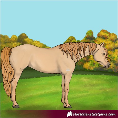 Horse Color:Red Dun 