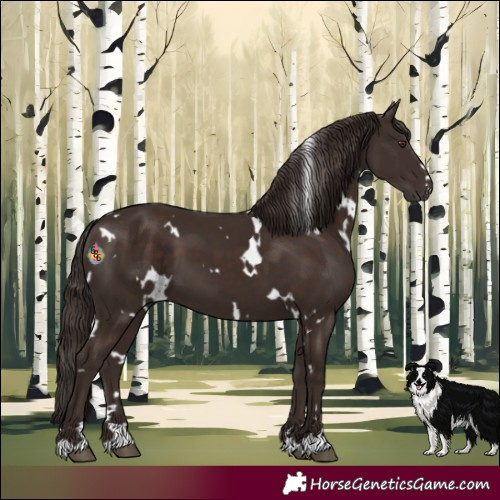 Horse Color:White Spotted Liver Chestnut 