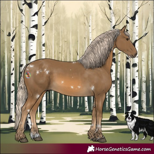 Horse Color:White Spotted Chocolate Palomino 