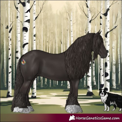 Horse Color:Liver Chestnut 