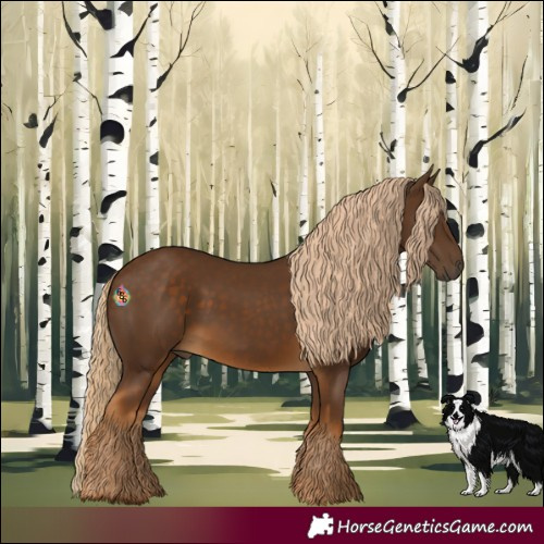 Horse Color:Chocolate Palomino 