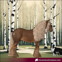 Horse Color:Chocolate Palomino 
