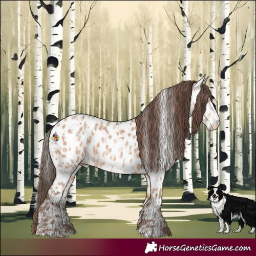 Horse Color:Amber Champagne Near Leopard  and Amber Champagne Frame Near Leopard 