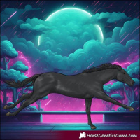 Horse Color:Black 