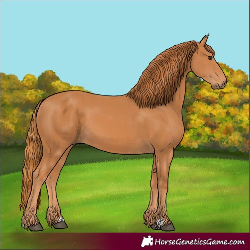 Horse Color:Unknown 