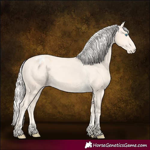 Horse Color:Cremello Appaloosa