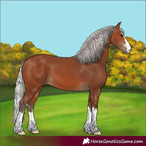 Horse Color:Silver Bay