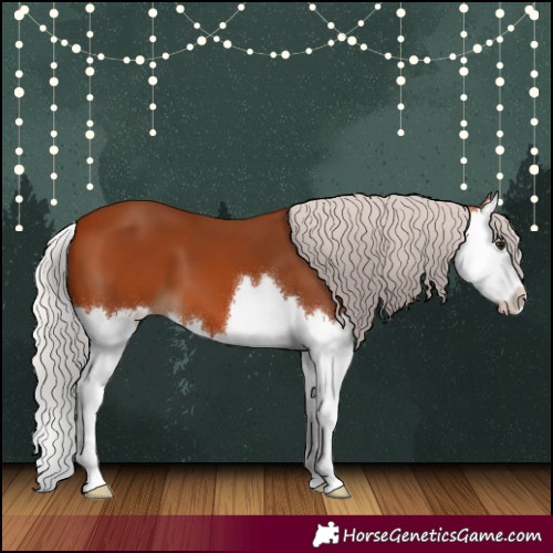 Horse Color:Silver Bay Splash 