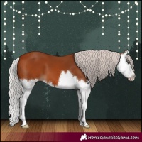 Horse Color:Silver Bay Splash 