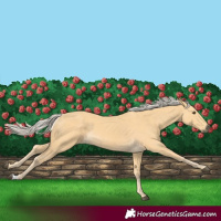 Horse Color:Palomino 