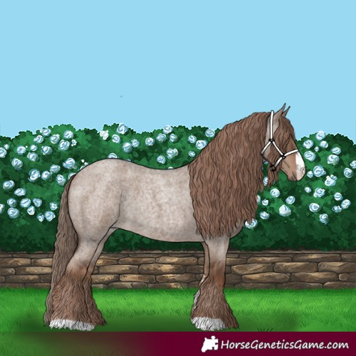 Horse Color:Liver Red Dun Roan Sabino Rabicano