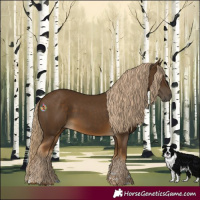 Horse Color:Chocolate Palomino 