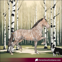 Horse Color:Amber Champagne Appaloosa and Amber Champagne