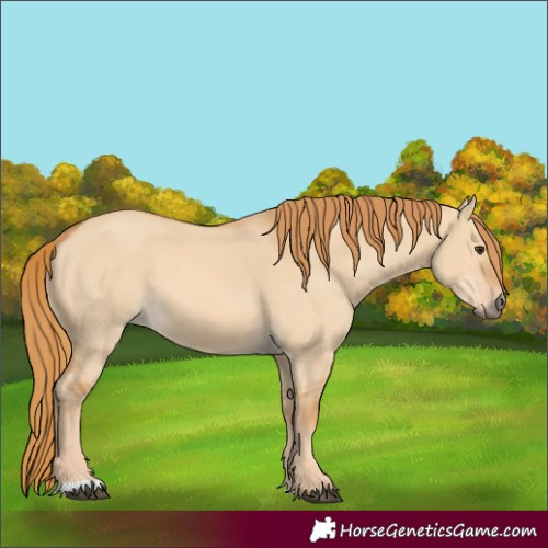 Horse Color:Red Dun 
