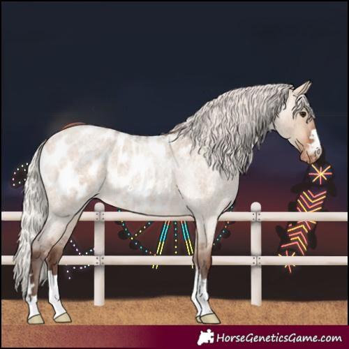 Horse Color:Silver Brown Roan Dun Near Leopard 