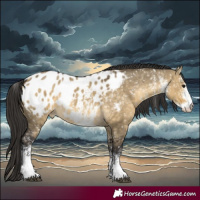 Horse Color:White Spotted Buckskin Dun Appaloosa