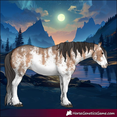 Horse Color:White Spotted Brown Dun