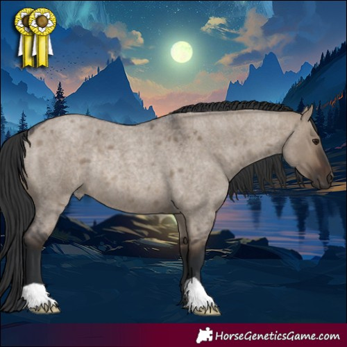 Horse Color:Brown Roan Dun Rabicano 
