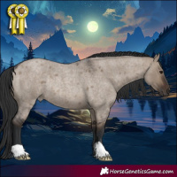 Horse Color:Brown Roan Dun Rabicano 