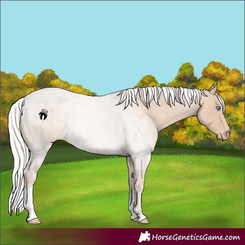 Horse Color:Silver Smoky Creme Roan 