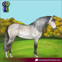 Horse Color:Gray Buckskin Roan Dun Mushroom Sabino Splash 