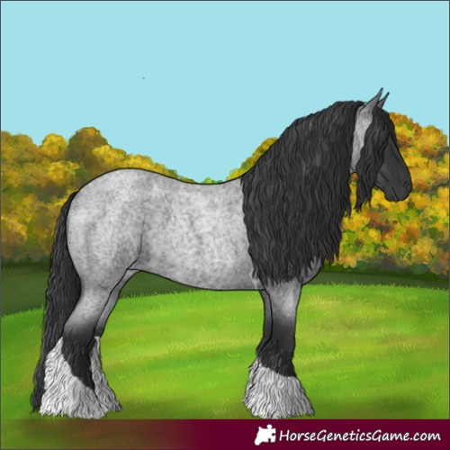 Horse Color:Blue Roan Tobiano 