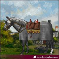 Horse Color:Black and Black