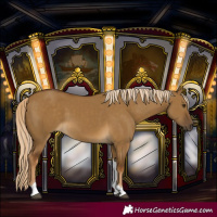 Horse Color:Chocolate Palomino Dun Tobiano 