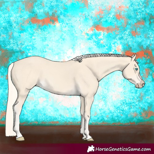 Horse Color:Cremello