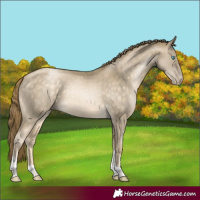 Horse Color:Buckskin Pearl Tobiano Rabicano