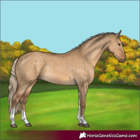 Horse Color:Chocolate Palomino Dun Tobiano Rabicano