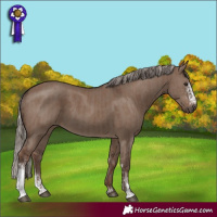 Horse Color:Liver Red Dun Tobiano Rabicano and Silver Grullo Sabino Rabicano