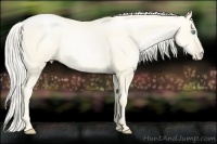 Horse Color:Gold Cream Champagne Pearl