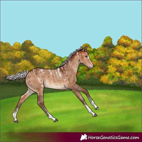 Horse Color:Powder White Silver Brown Dun Brindle 