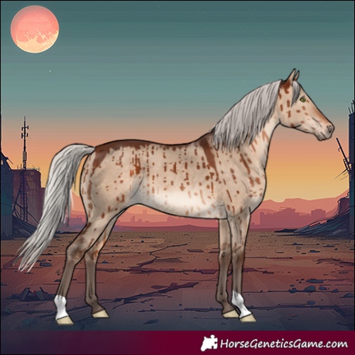Horse Color:Silver Brown Dun Brindle 